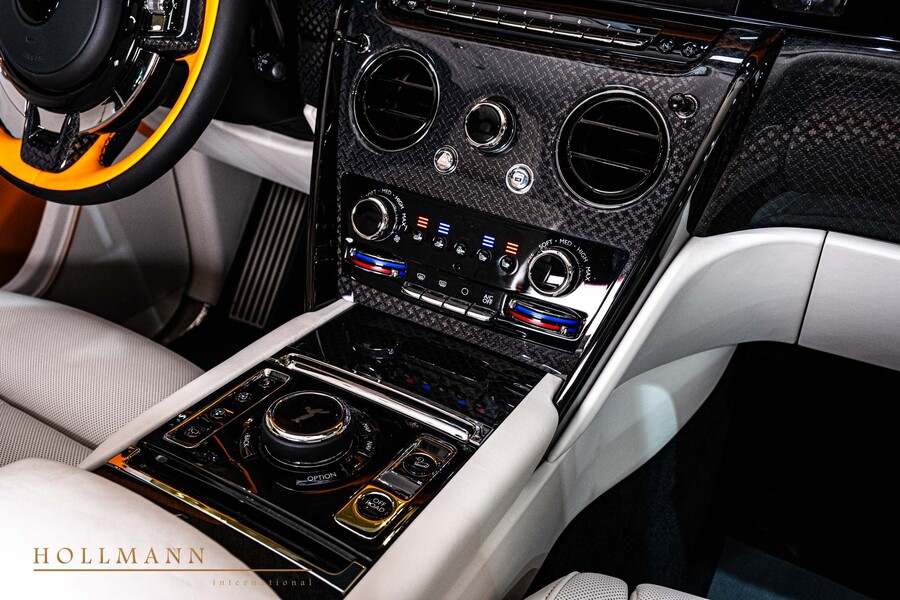 Vehicle view 13