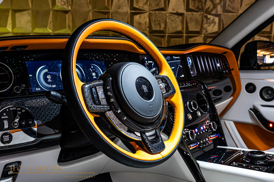 Vehicle view 17