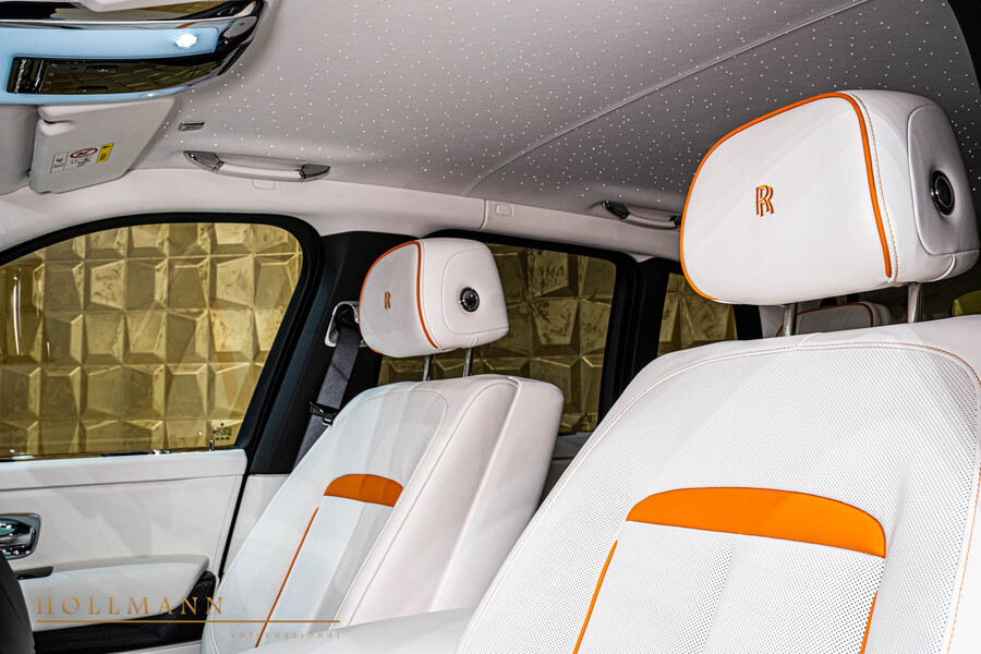 Vehicle view 8