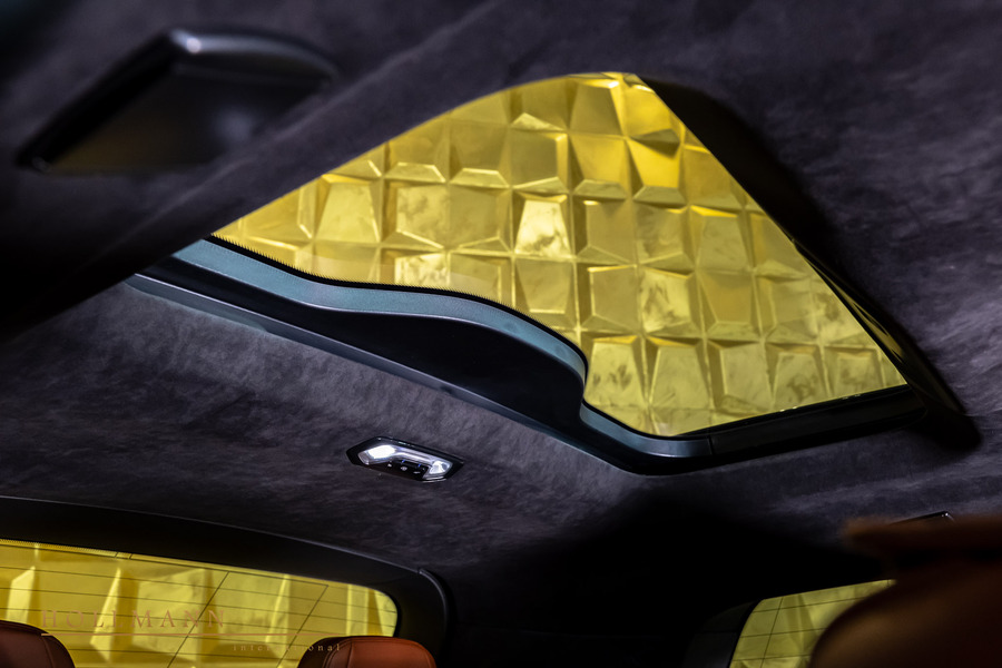 Vehicle view 21