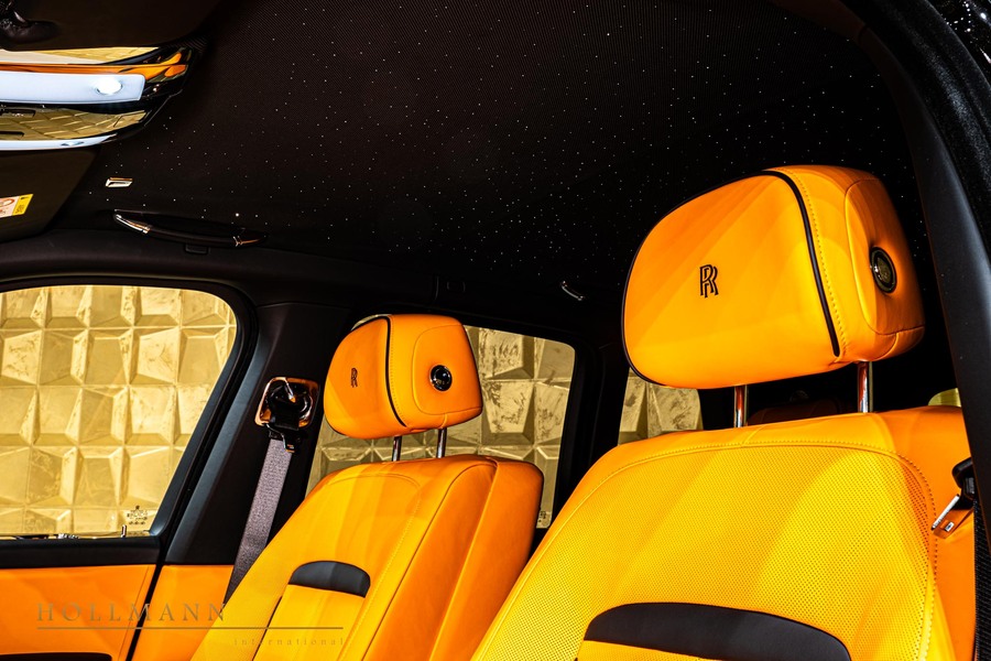 Vehicle view 18