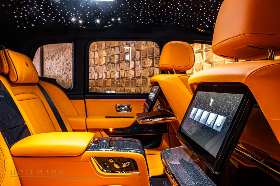 Vehicle view 29