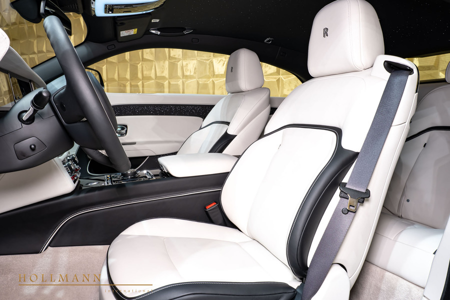 Vehicle view 11