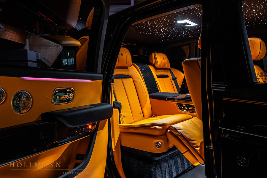 Vehicle view 11