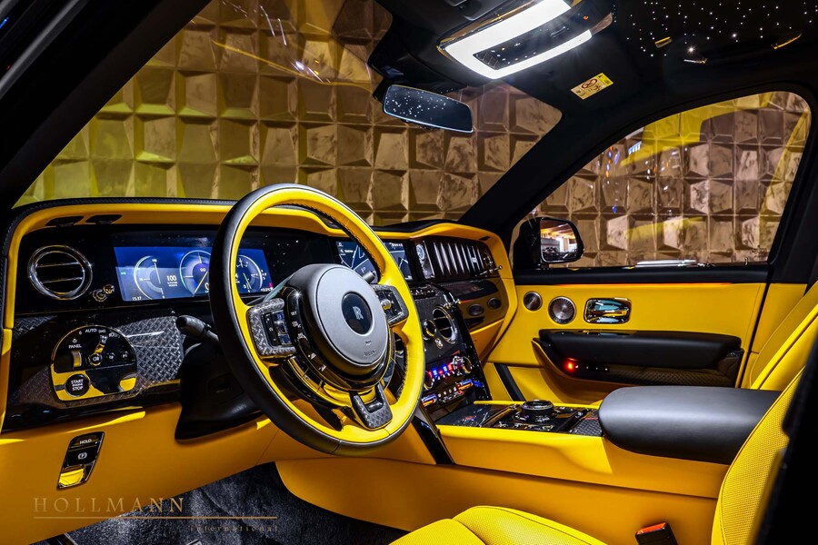 Vehicle view 13