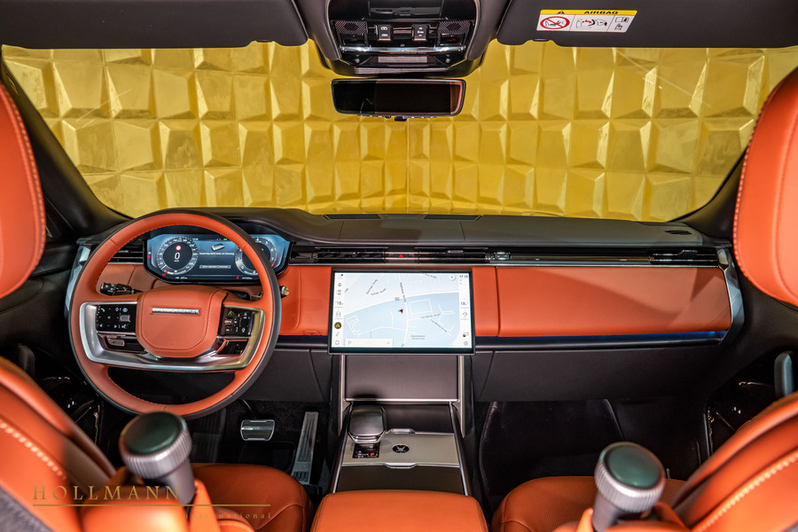 Vehicle view 17