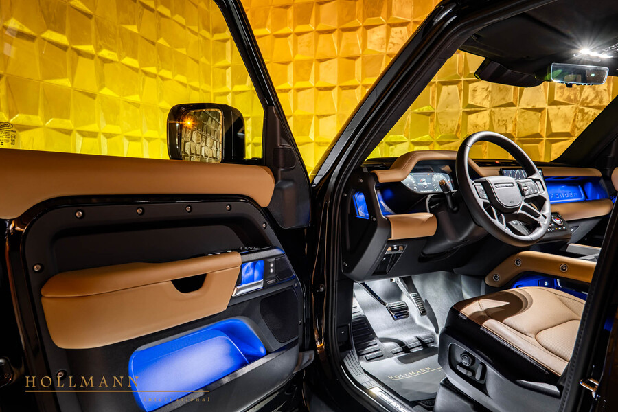 Vehicle view 11