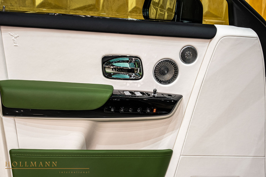Vehicle view 13