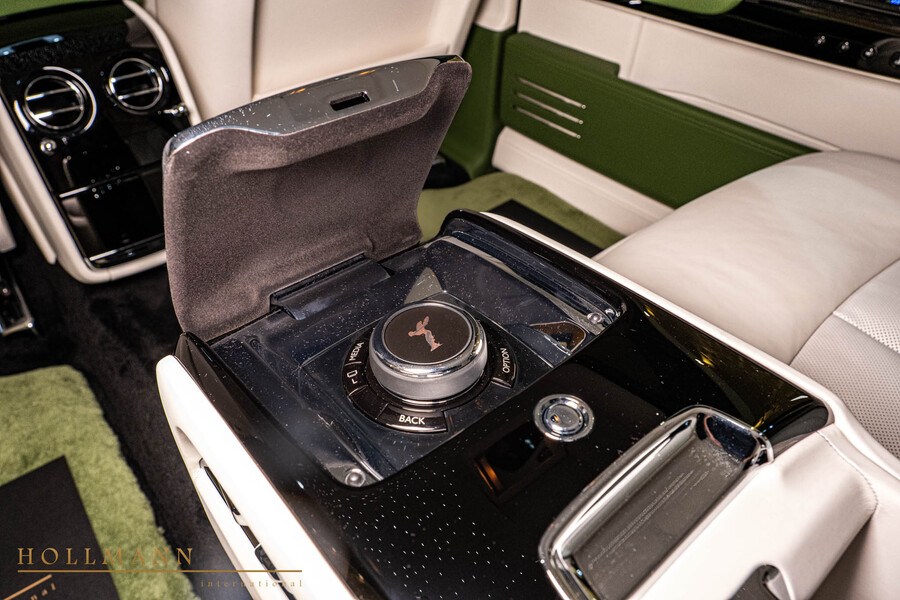Vehicle view 19