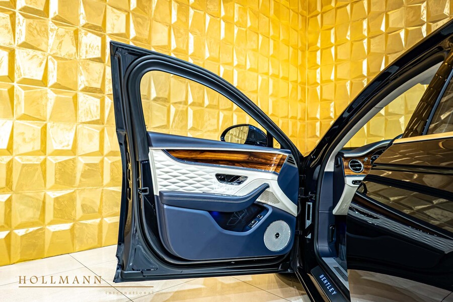 Vehicle view 11