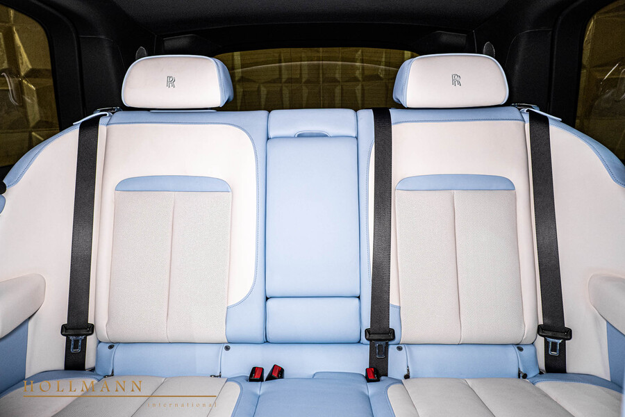 Vehicle view 29