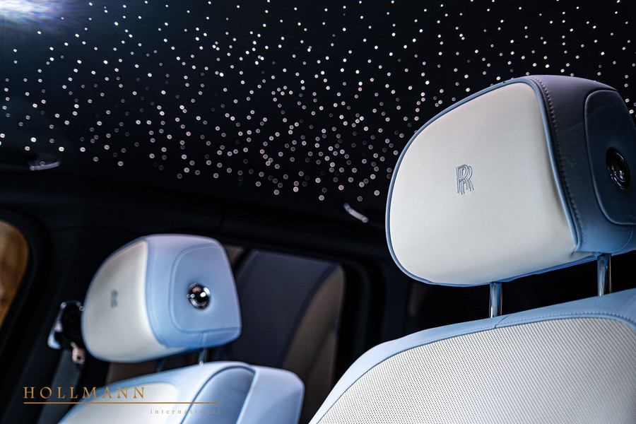 Vehicle view 31