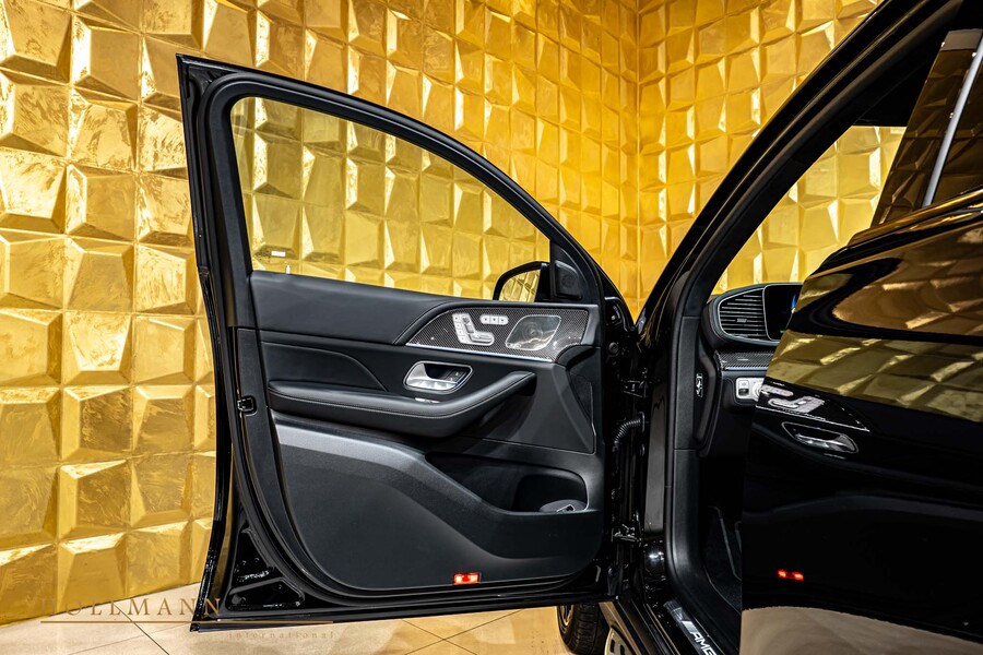 Vehicle view 11