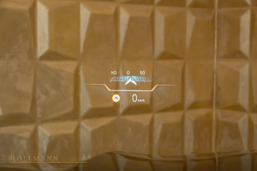 Vehicle view 13