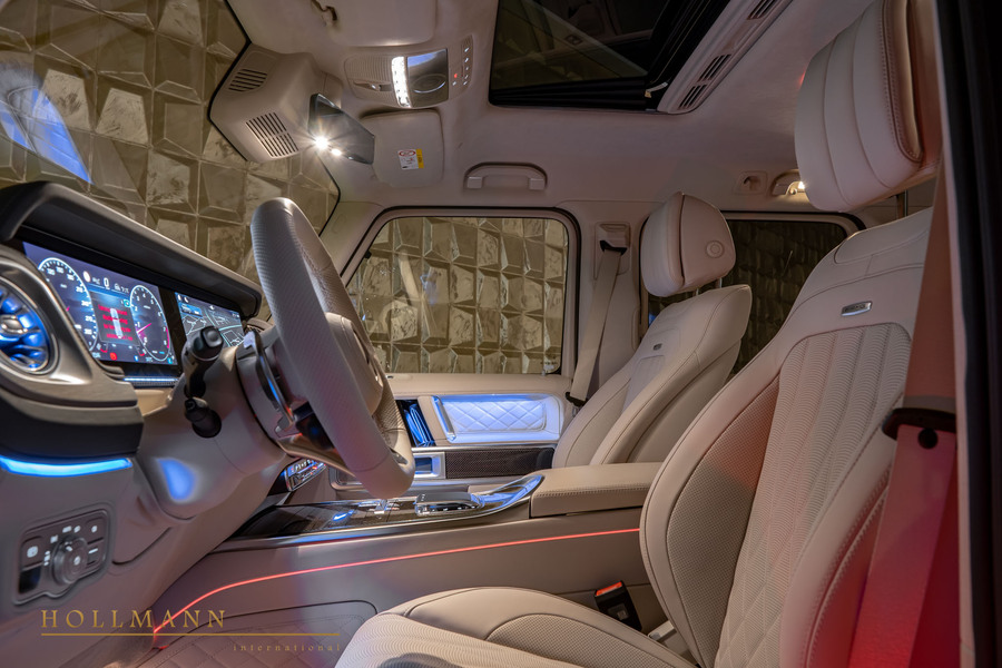 Vehicle view 11