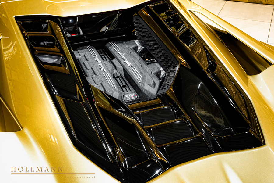 Vehicle view 12