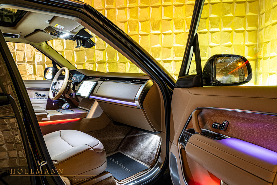 Vehicle view 11