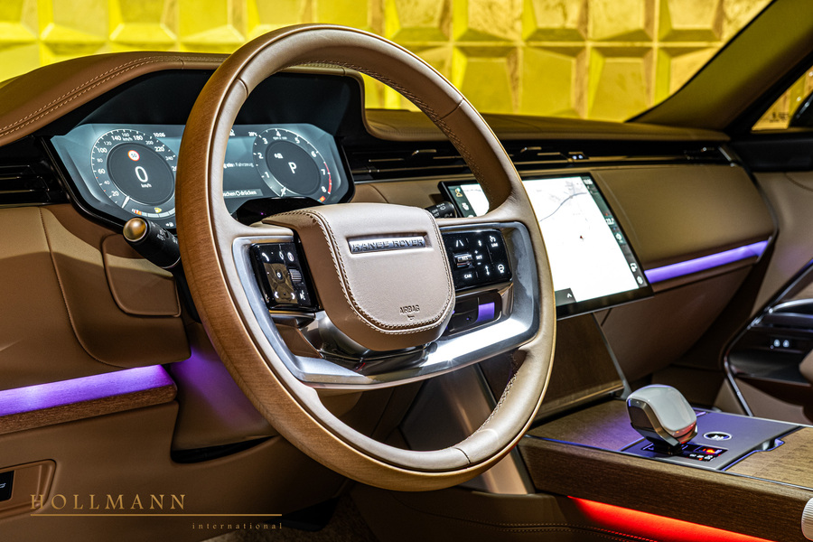 Vehicle view 13