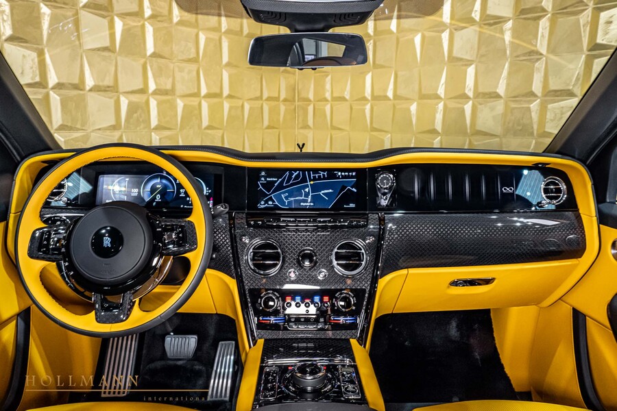 Vehicle view 17