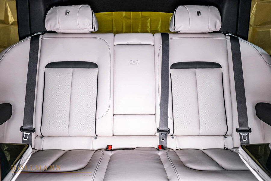 Vehicle view 18