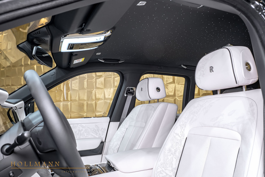 Vehicle view 13
