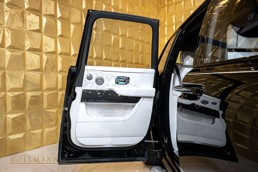 Vehicle view 16