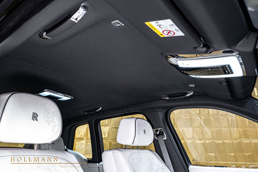 Vehicle view 20