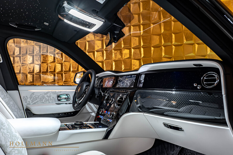 Vehicle view 29