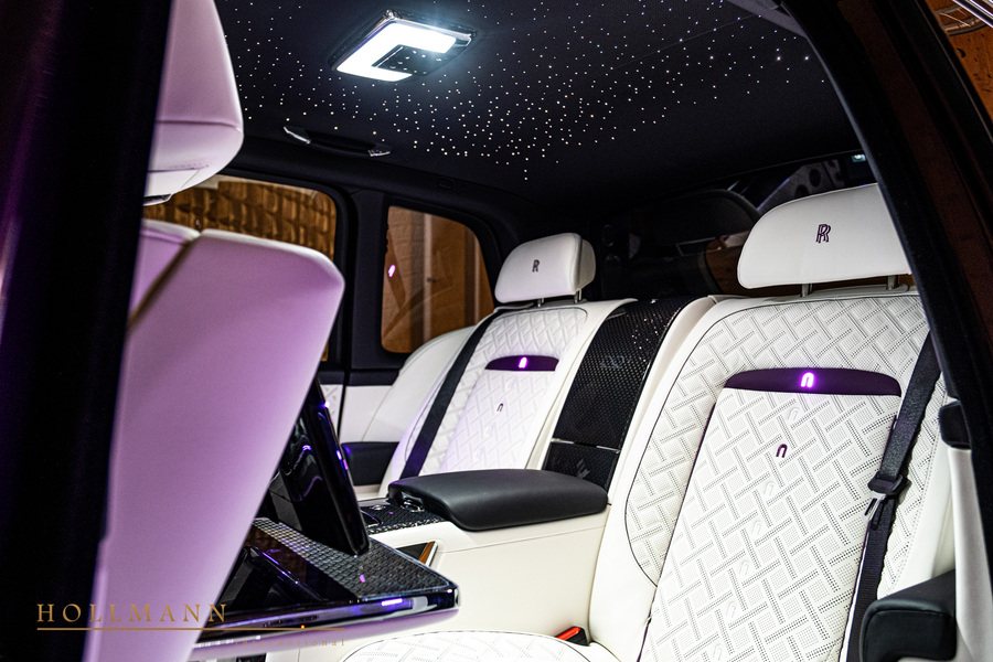 Vehicle view 33