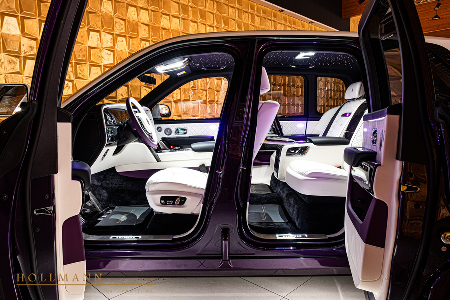 Vehicle view 35