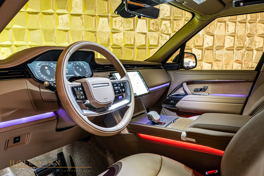 Vehicle view 19