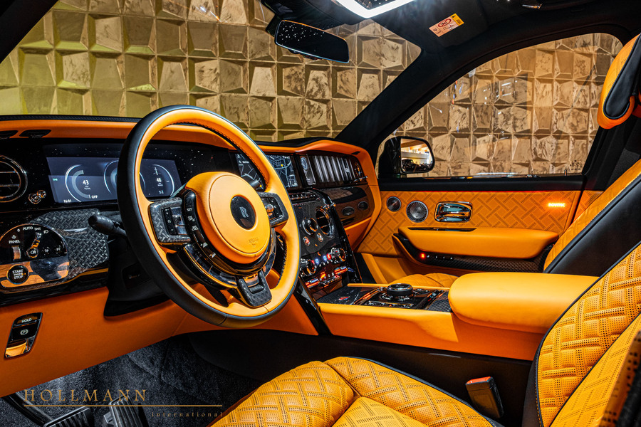 Vehicle view 15