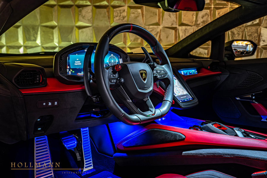 Vehicle view 31