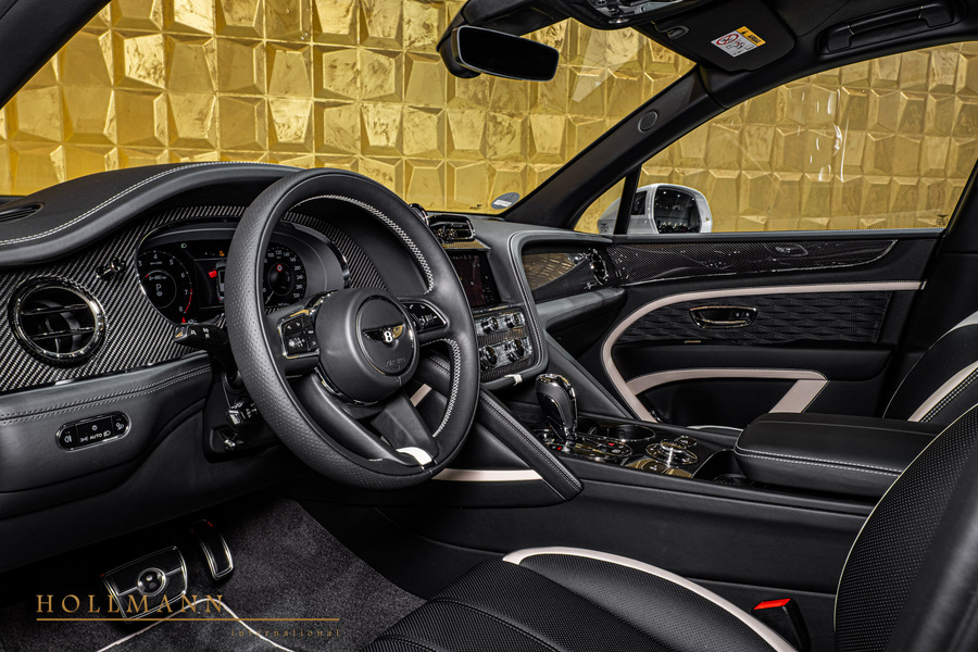 Vehicle view 17