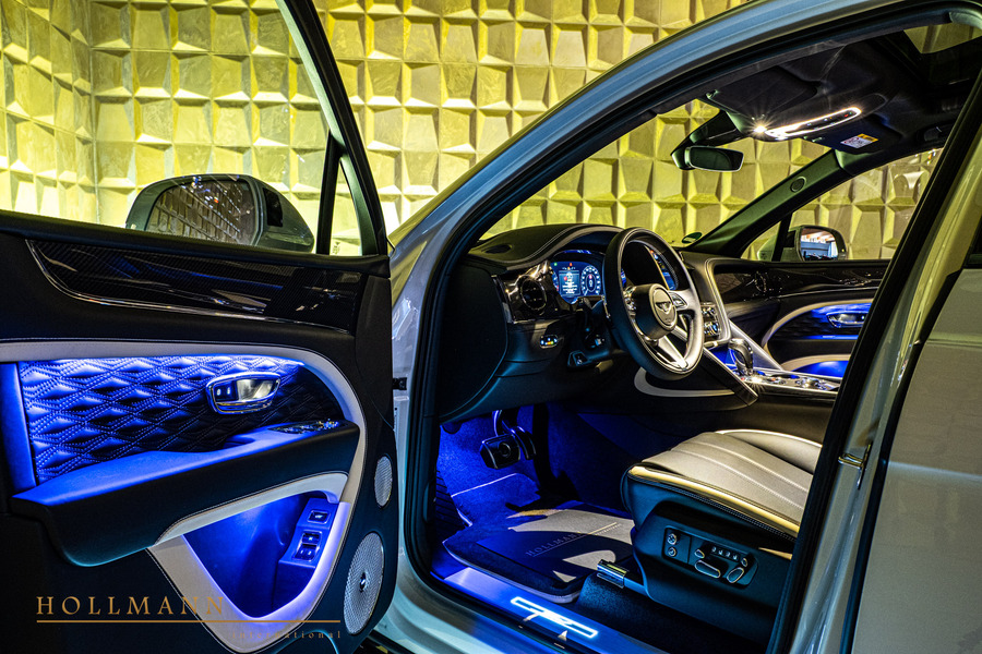 Vehicle view 29