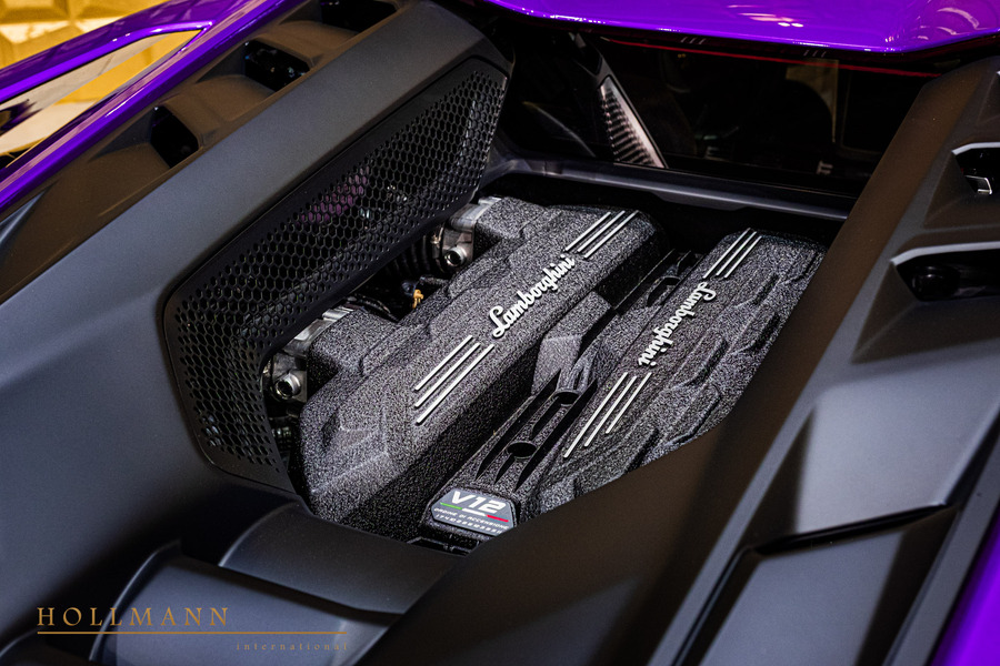 Vehicle view 13