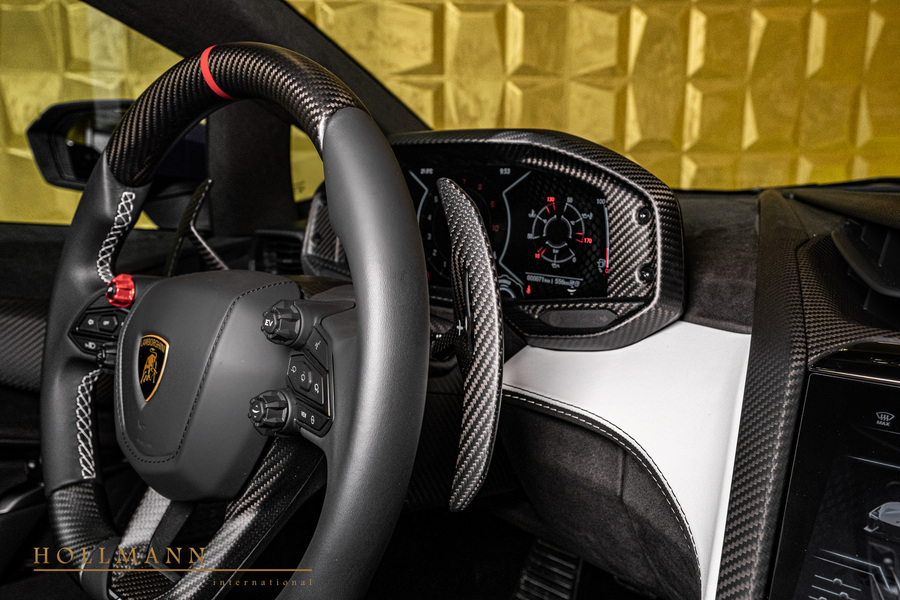 Vehicle view 21