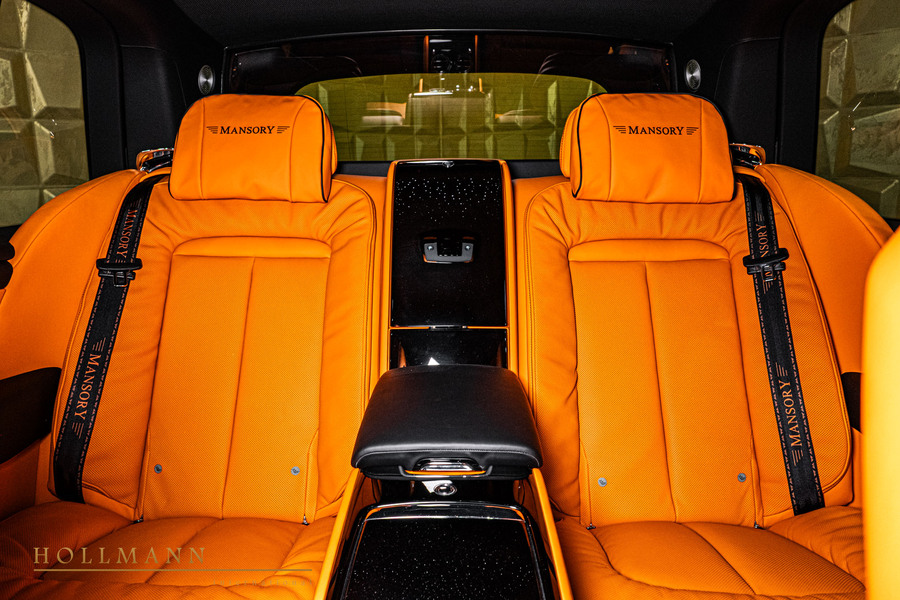 Vehicle view 33