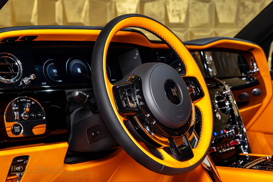 Vehicle view 8
