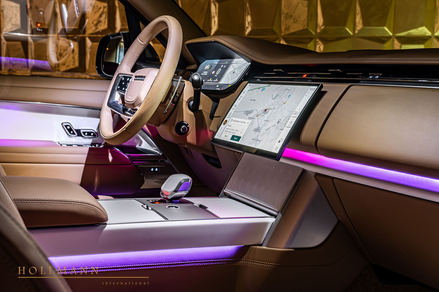 Vehicle view 11