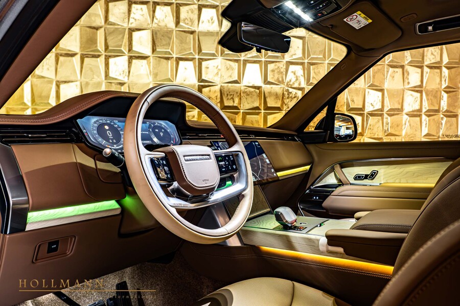 Vehicle view 11