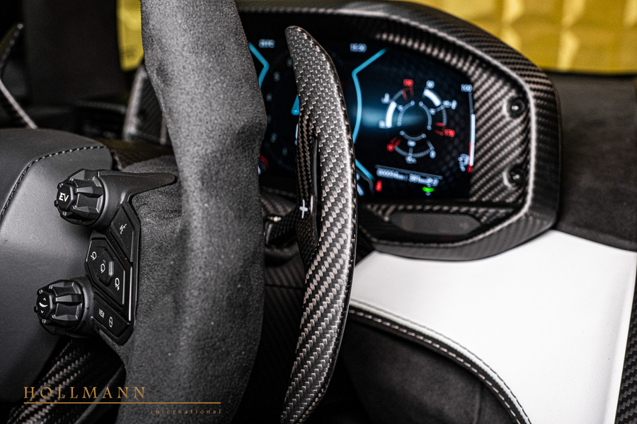 Vehicle view 31