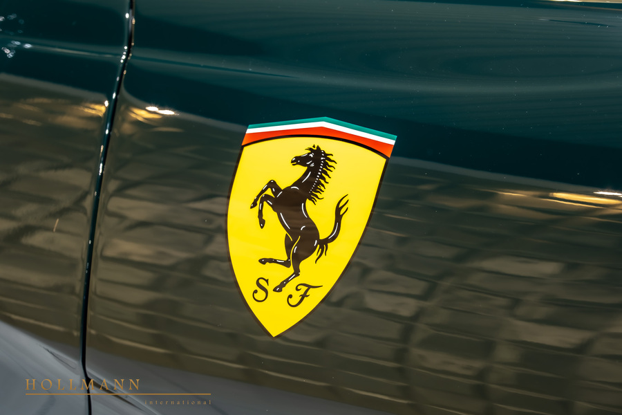 Vehicle view 11