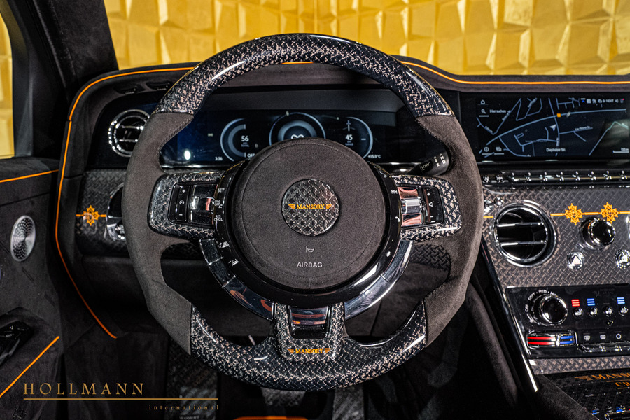 Vehicle view 31