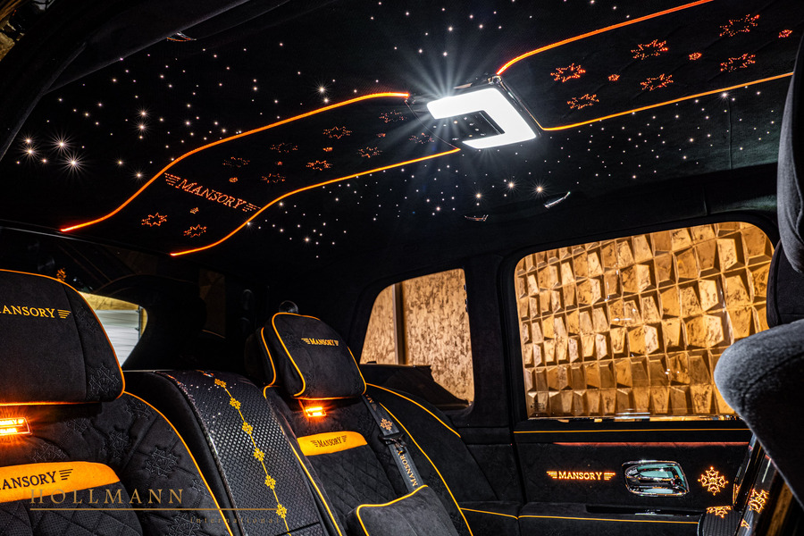 Vehicle view 35