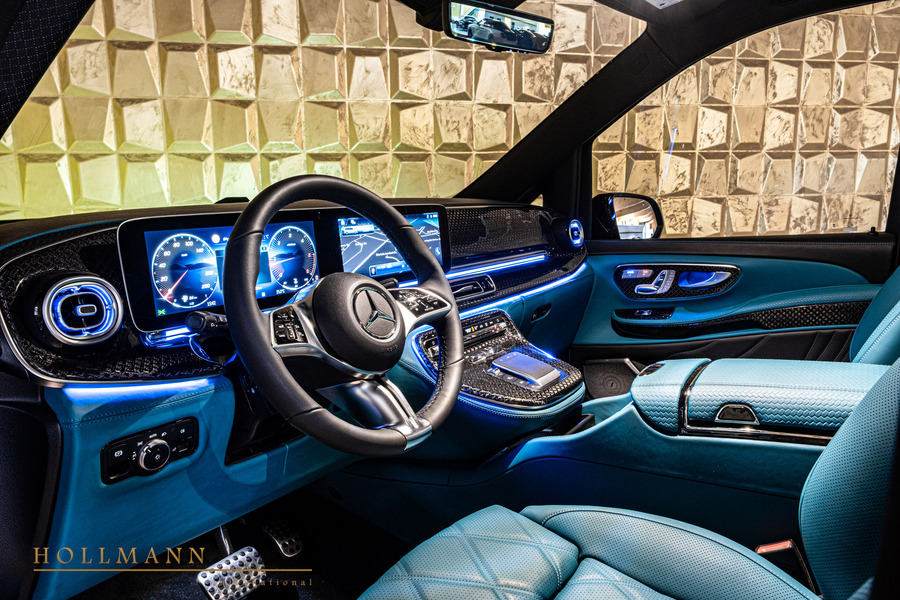 Vehicle view 13