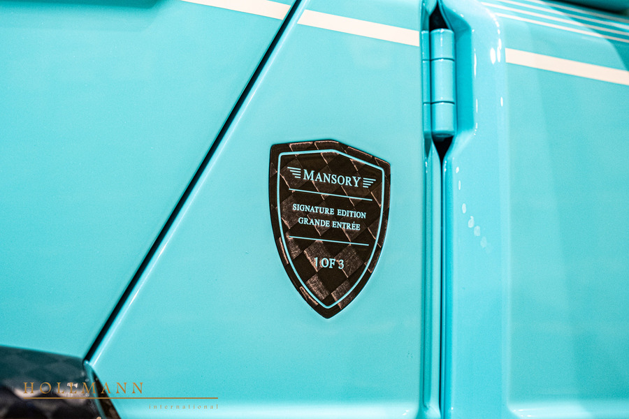 Vehicle view 11