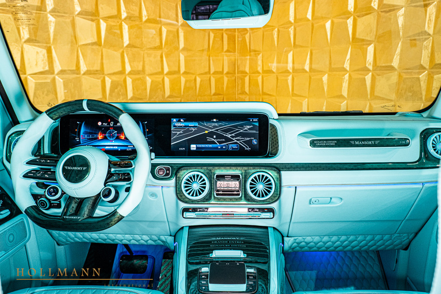 Vehicle view 13
