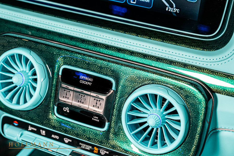 Vehicle view 17
