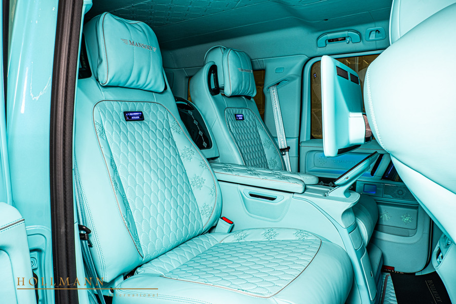 Vehicle view 19